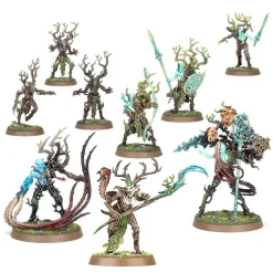 Age of Sigmar: Sylvaneth - The Twisted Branch - Regiments of Renown