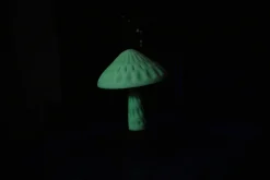 3DE Premium - PETG Glow In Dark - Green - 1.75mm - 1kg
