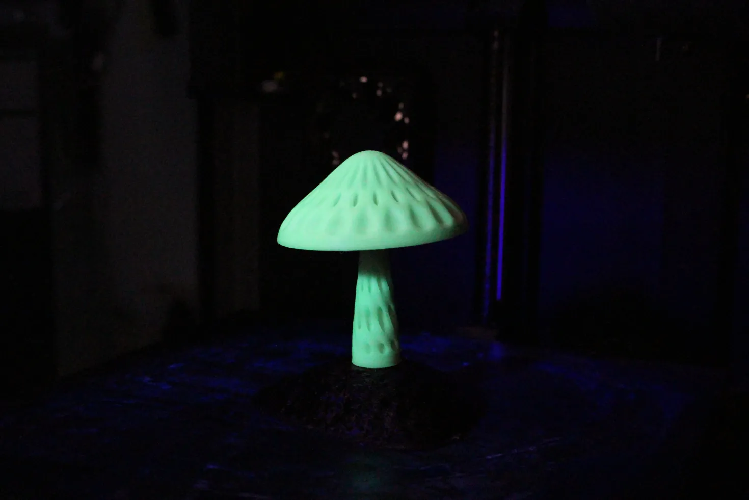 3DE Premium - PLA Glow in Dark - Green - 1.75mm - 1kg