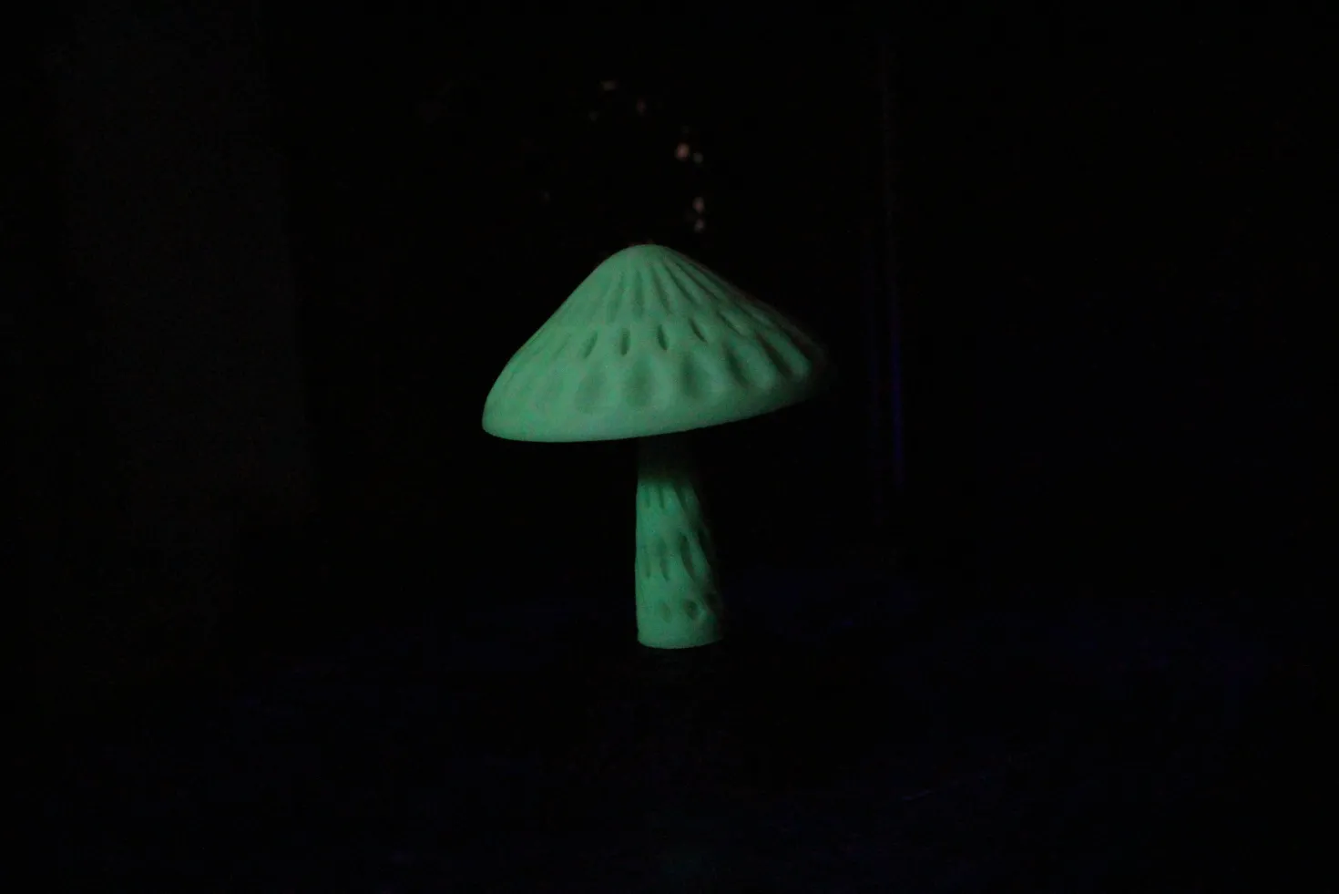 3DE Premium - PLA Glow in Dark - Green - 1.75mm - 1kg