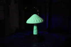 3DE Premium - PLA Glow in Dark - Green - 1.75mm - 1kg