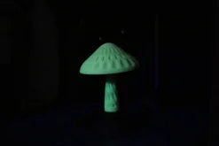 3DE Premium - PLA Glow in Dark - Green - 1.75mm - 1kg