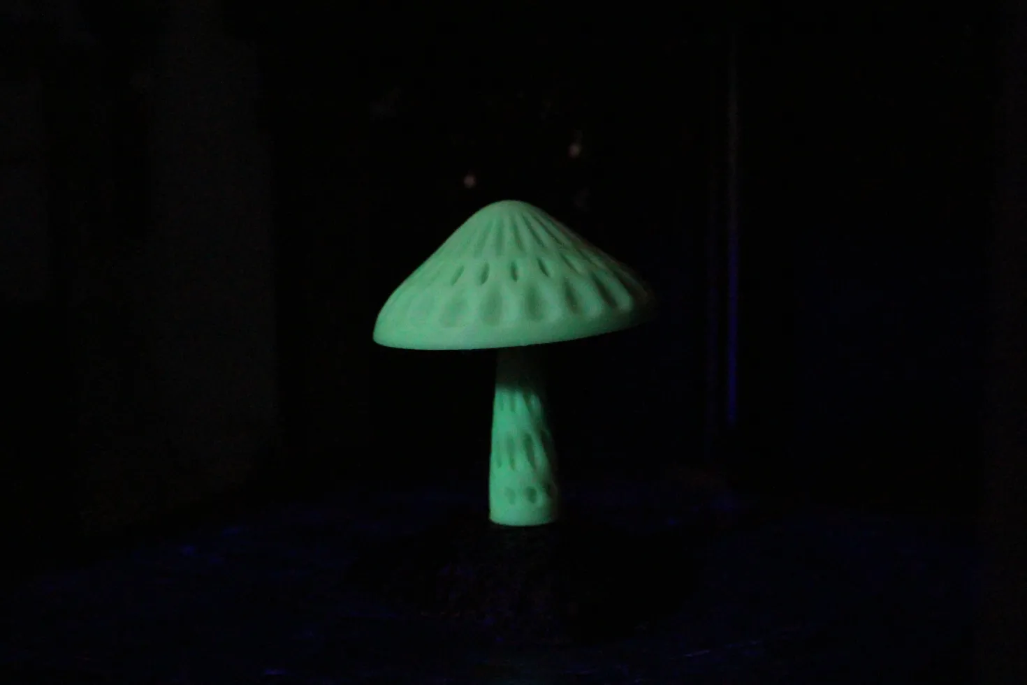 3DE Premium - PLA Glow in Dark - Green - 1.75mm - 1kg