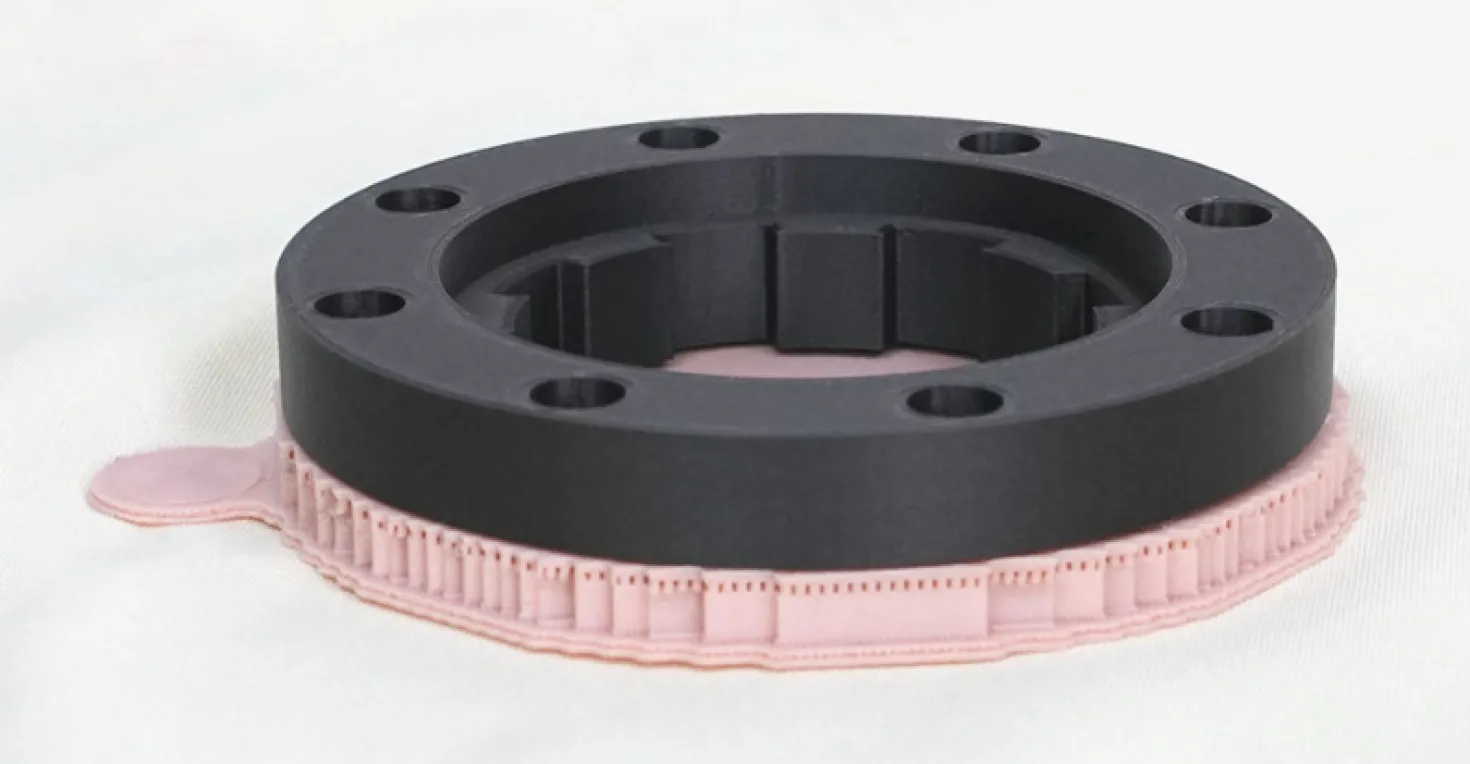 Raise3D - Industriel PA12 CF Support- 1.75mm - 1 kg