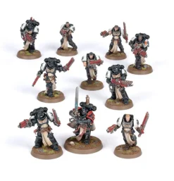 Warhammer 40k: Black Templars - Primaris Crusader Squad