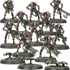 Warhammer 40k: Necrons - Necron Warriors