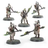 Warhammer 40k: Necrons - Triarch Praetorians / Lychguard